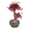 Acer artificial Bonsai 60 cm burdeos