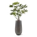 Philodendron Fun Bun Planta Artificial 145cm