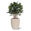 Planta artificial de Ficus Audrey 100cm