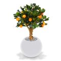 Árbol artificial Bonsai naranja sobre base 65cm