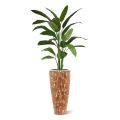 Heleconia artificial verde 170cm en maceta