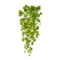 Planta colgante artificial Populus 65 cm