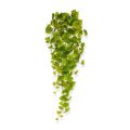 Planta colgante artificial Populus 80 cm
