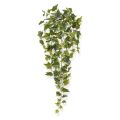 Hiedra artificial planta colgante 65 cm variegada