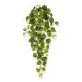 Filodendro artificial planta colgante 65 cm verde