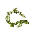 Guirnalda de Pothos artificial 180 cm var.