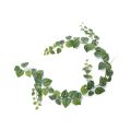Guirnalda artificial de Scindapsus Pictus 180 cm