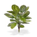 Calathea Roseopicta planta artificial ramo 65 cm