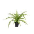 Planta artificial Asplenium Fern 45cm