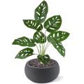 Monstera Adonsonii planta artificial 40cm