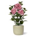 Hortensia Planta artificial en maceta 65cm Rosa