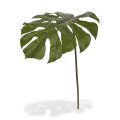 Monstera rama de hoja artificial 75 cm