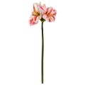 Amaryllis Flor Artificial 67cm Blanco Rojo