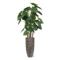 Alocasia Calidora planta artificial deluxe 165cm FR
