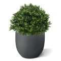 Planta artificial bulbo de boj deluxe 40cm