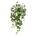 Hedera artificial colgante 65cm - Resistente a los rayos UV