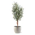 Olivo artificial 150cm UV