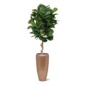 Planta artificial Lyrata deluxe 155cm