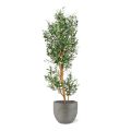 Olivo árbol artificial 150cm