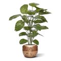 Pothos planta artificial de lujo 115cm