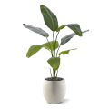 Strelitzia Nicolai planta artificial 120cm