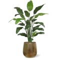 Planta de palma artificial Traveller deluxe 150cm