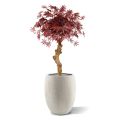 Acer Bonsai árbol artificial sobre tallo 85cm - burdeos