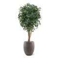 Acer planta artificial 160cm - verde