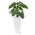 Ramo de Alocasia Calidora artificial 70 cm