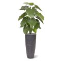 Alocasia Calidora planta artificial 115cm