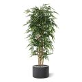 Árbol de bambú artificial 210cm