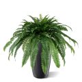 Helecho de Boston Planta artificial gigante D95