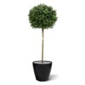 Bulbo artificial de Buxus sobre tallo 110cm - Resistente a los rayos UV