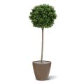 Bola de boj sobre tallo planta artificial 140cm - Resistente a los rayos UV