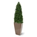 Árbol artificial Boxwood Tower 170cm - Resistente a los rayos UV