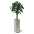 Bola artificial Ficus Exotica 125 cm