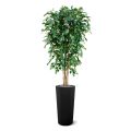 Ficus artificial Exotica Deluxe 180 cm verde
