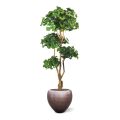 Ginko Bonsai árbol artificial de lujo 170cm