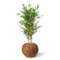 Bambú japonés planta artificial 120cm - resistente a los rayos UV