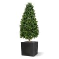 Planta artificial Buxus Tower 140cm - Resistente a los UV