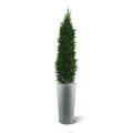Conífera artificial deluxe 150cm - Resistente a los rayos UV