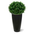 Bulbo artificial Buxus deluxe 70cm - Resistente a los rayos UV