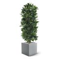 Planta artificial en columna de laurel 125cm - Resistente a los rayos UV