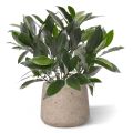 Planta artificial de laurel 35cm - Resistente a los rayos UV