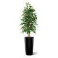 Árbol artificial Longifolia Royal 175cm