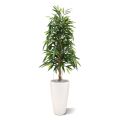 Árbol artificial Longifolia Royal 150cm