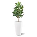 Planta artificial Lyrata Royal 90cm
