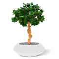 Panda Bonsai árbol artificial sobre base 60cm