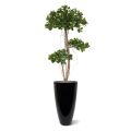Panda Bonsai árbol artificial 140cm