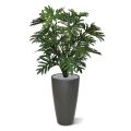 Planta artificial Philo Selloum XL 125cm